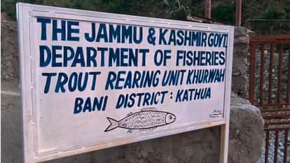 Eight thousand trout fishes are being prepared for the tourism season.
