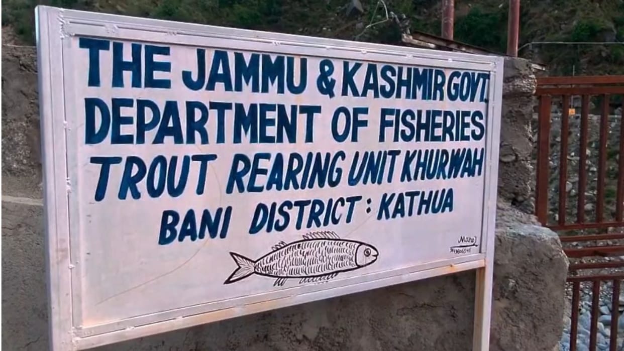 Eight thousand trout fishes are being prepared for the tourism season.