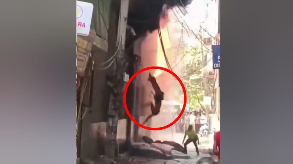 Malviya Nagar hotel fire Shop owner says he been compensated urges help for victims