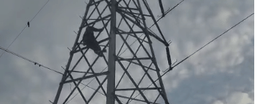 Drunk Man Climbs High-Tension Tower, Ties Himself With Cloth; Three-Hour Rescue Operation Follows