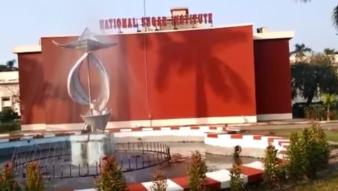 Kanpur 723 Trees Felled on NSI Campus FIR Filed Against Director and Other Officials Forest Guard Suspended