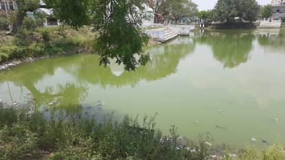 Hamirpur Three children including a brother and sister drown in a pond CM Yogi expresses condolences
