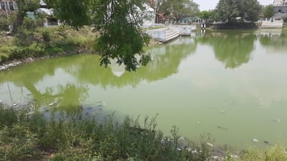 Hamirpur Three children including a brother and sister drown in a pond CM Yogi expresses condolences