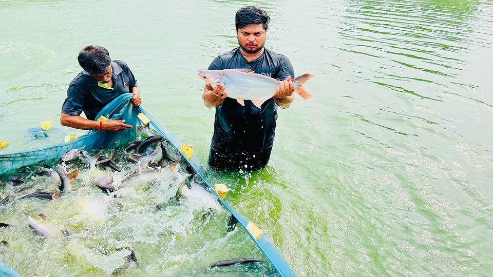 Fish production in Aligarh