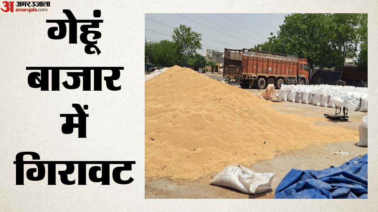 मंडी में लगी गेहूं की ढेरी।