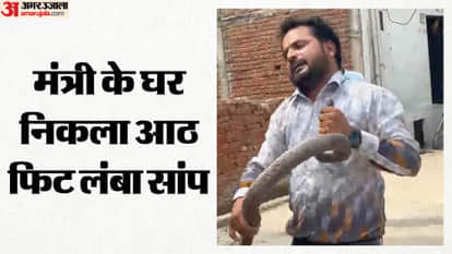 Chhatarpur: 8-Foot-Long Snake Enters Minister Dilip Ahirwar Bungalow, Causes Panic