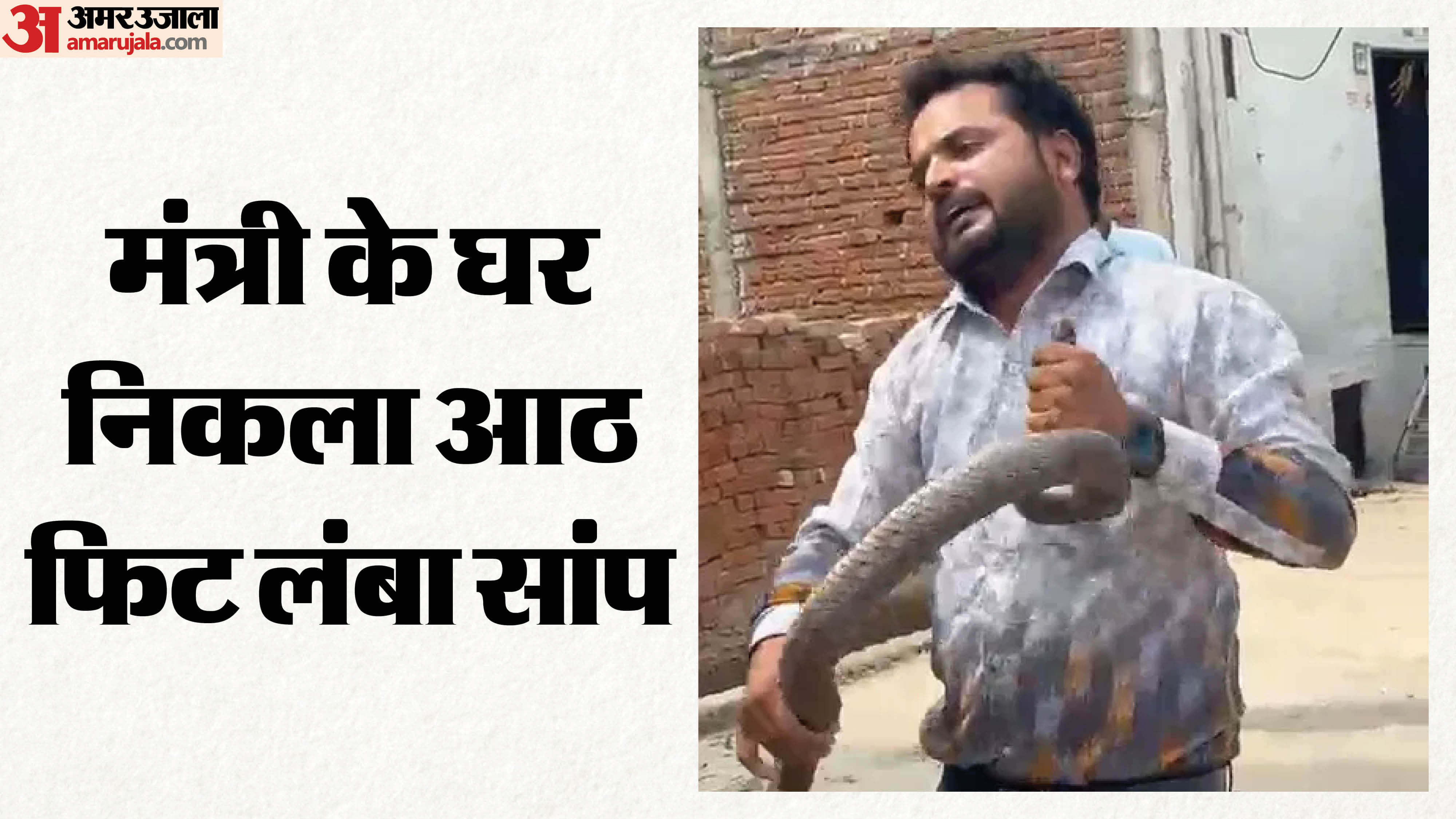 सांप का किया गया रेस्क्यू