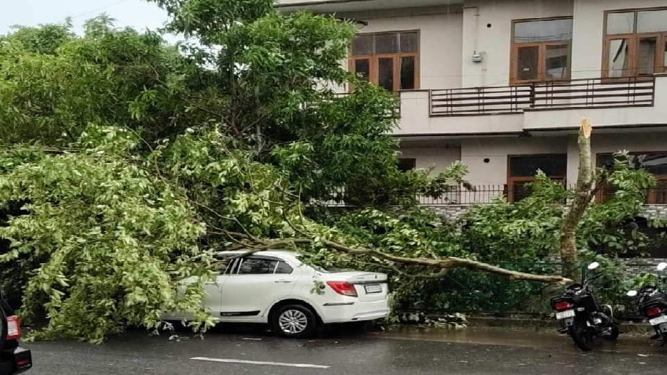 Delhi-NCR torrential rain in pictures 80-100 km/h winds Daytime darkness