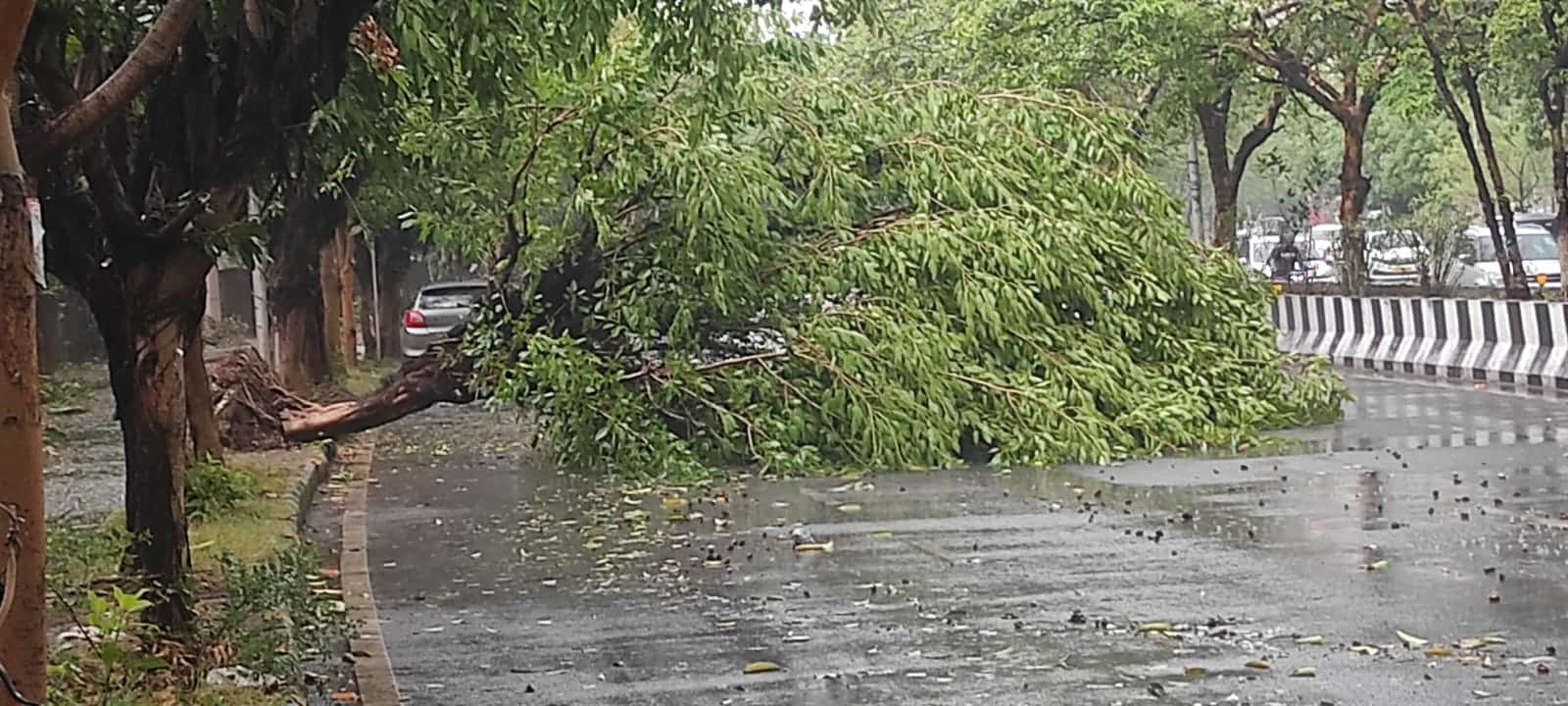 Delhi-NCR torrential rain in pictures 80-100 km/h winds Daytime darkness