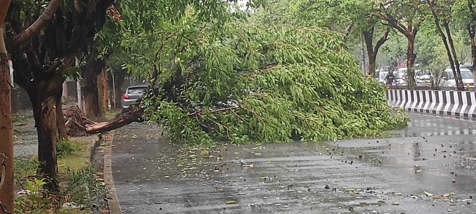 Delhi-NCR torrential rain in pictures 80-100 km/h winds Daytime darkness