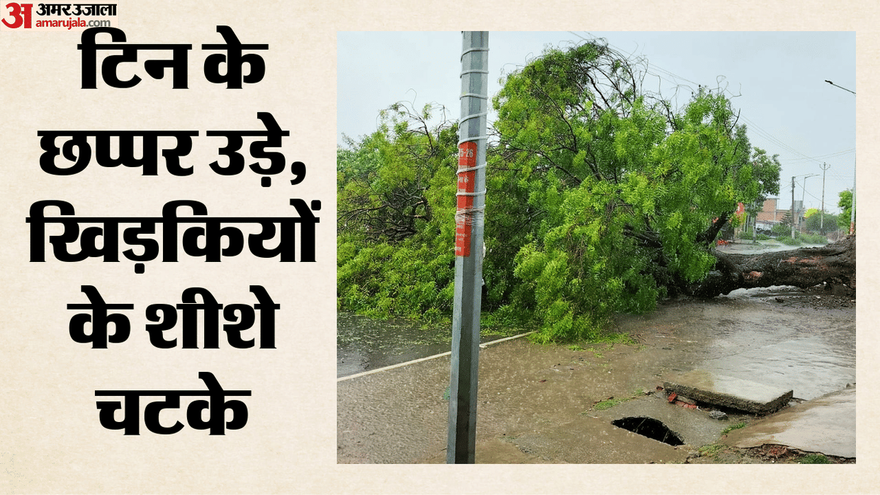 Weather: Thunderstorms and rain at 100 km/h, poles uprooted...trees fell in Delhi-NCR