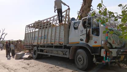 Mahoba Accident DCM truck crashes into a tree after driver dozes off 12 injured and 20 mules died