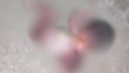 मोर्चरी में रखवाया गया नवजात का शव।