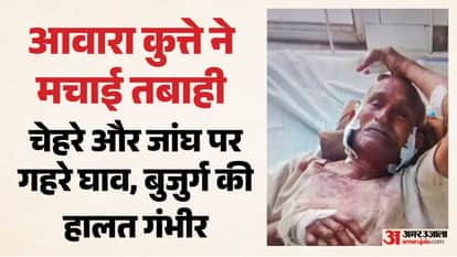 Stray dogs wreak havoc in Daduni village of Sheopur, injuring 7 villagers and 4 cattle.
