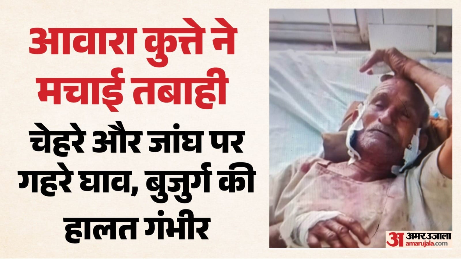 पागल कुत्ते ने बुजुर्ग को किया जख्मी, उपचार जारी।