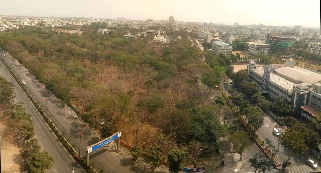 Indore: A forest has been created in a posh area of Indore, where birds of many species have settled.