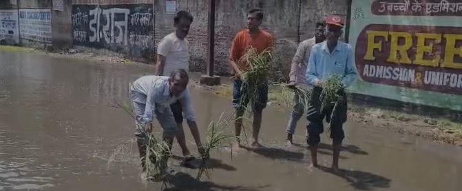 Fed Up With Waterlogging, Residents Plant Paddy on Road in Unique Protest