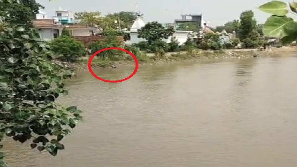 Discovery of a body near Ajaynagar Bridge causes a stir death by drowning suspected police working to identify