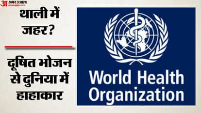 Unsafe Food Triggers Global Health Crisis, WHO Says 866 Million Fall ill and 1.5 Million Die Every Year