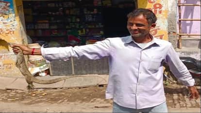 A Monitor Lizard entered the shops of Sadabad Hathras