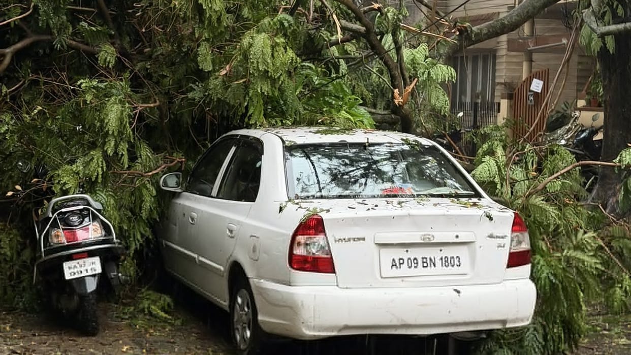 Tree fell on your car during a storm? know the insurance claim rules before It's too late