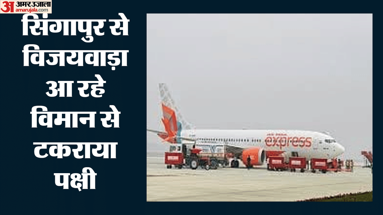 accident averted at Vijayawada Airport in Andhra Pradesh Bird Hit with Air India Express flight Singapore