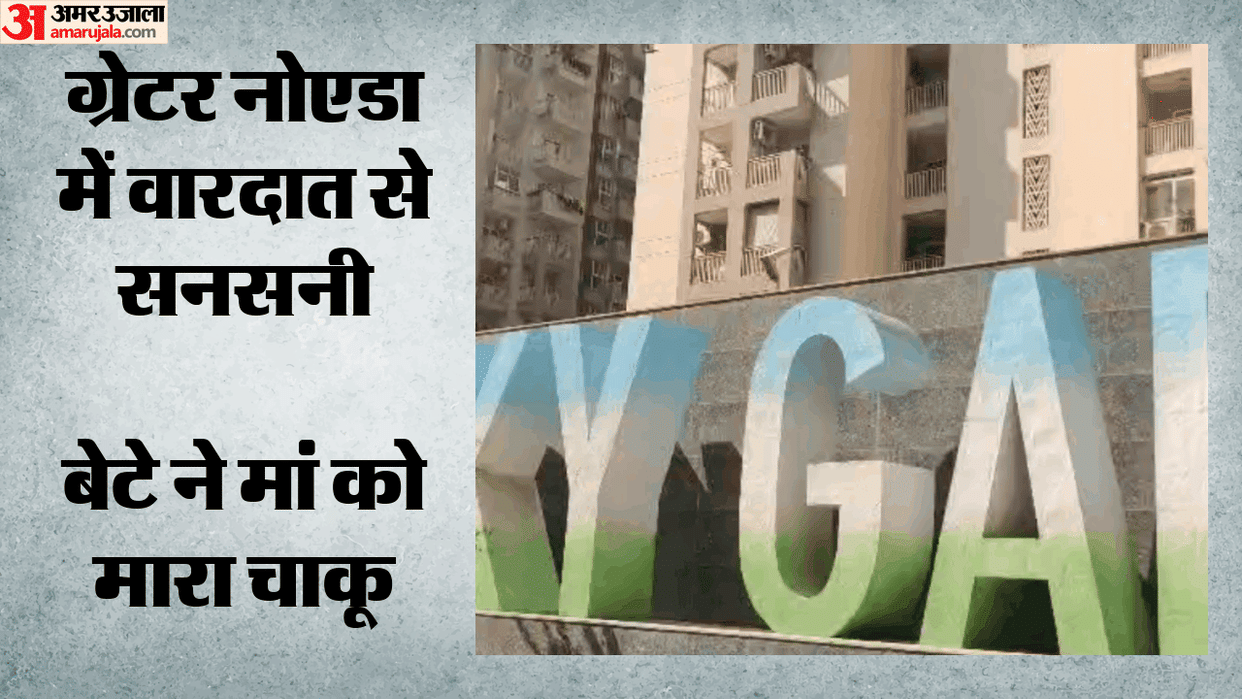 Youth dies after stabbing mother and jumping from 5th floor greater noida west