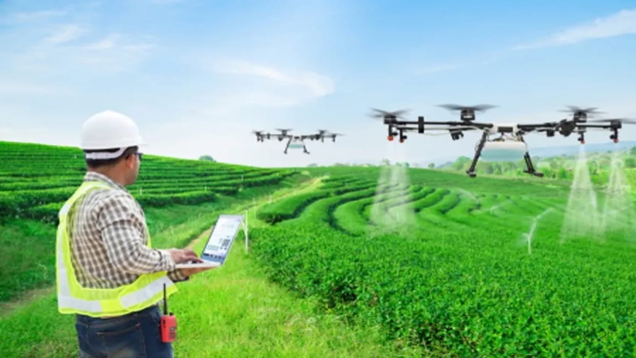 Drones will tell you the needs of the farm, giving sugarcane more yield and more profit at less cost.