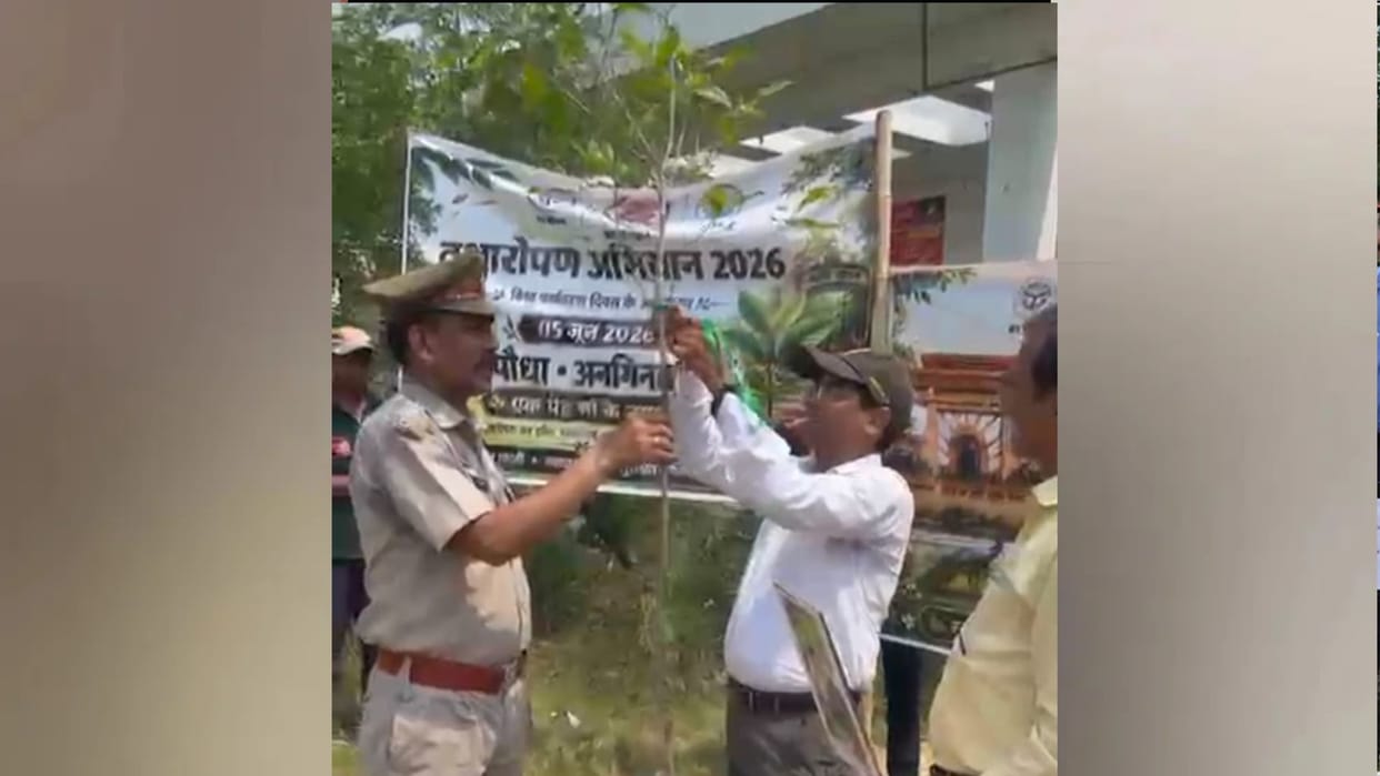 Zoo: Plants will be identified by ID cards, information will be available through QR codes.