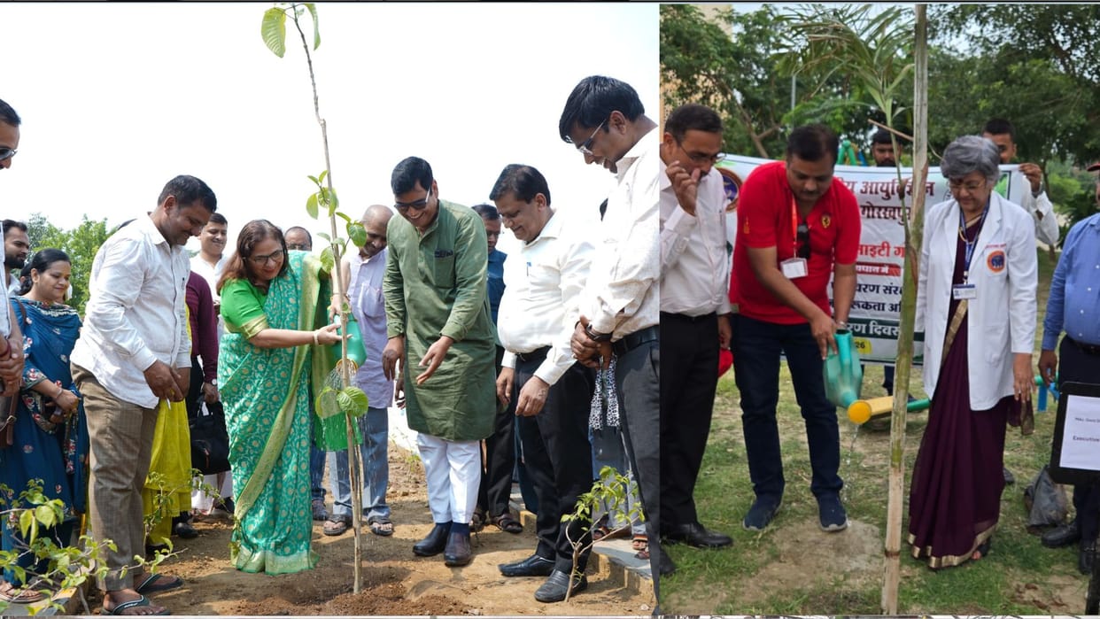 7.5 lakh saplings planted in Gorakhpur on Environment Day