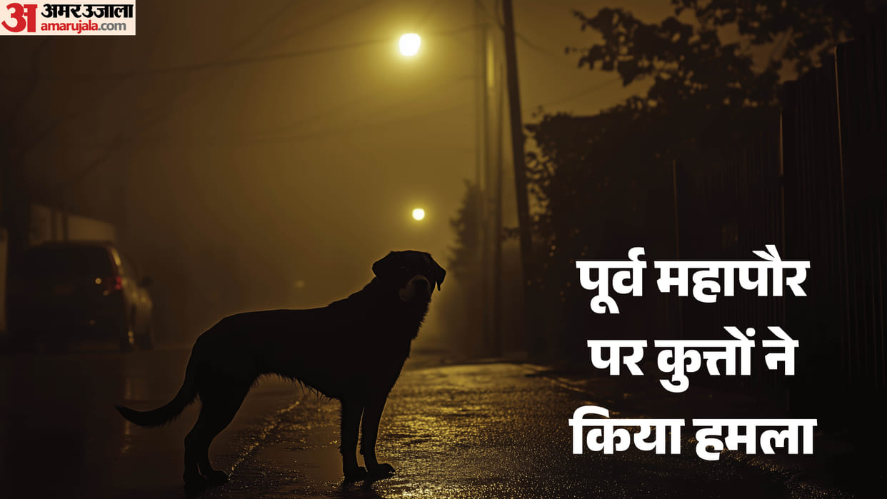 Lucknow: Former mayor was walking outside his house after dinner, when he was attacked by 10-12 dogs.