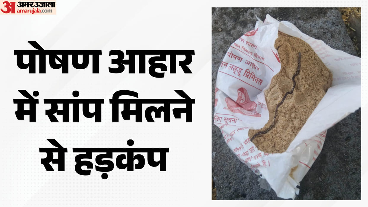 Two dead snakes found in Sattu packet of Anganwadi, children ate for 15 days