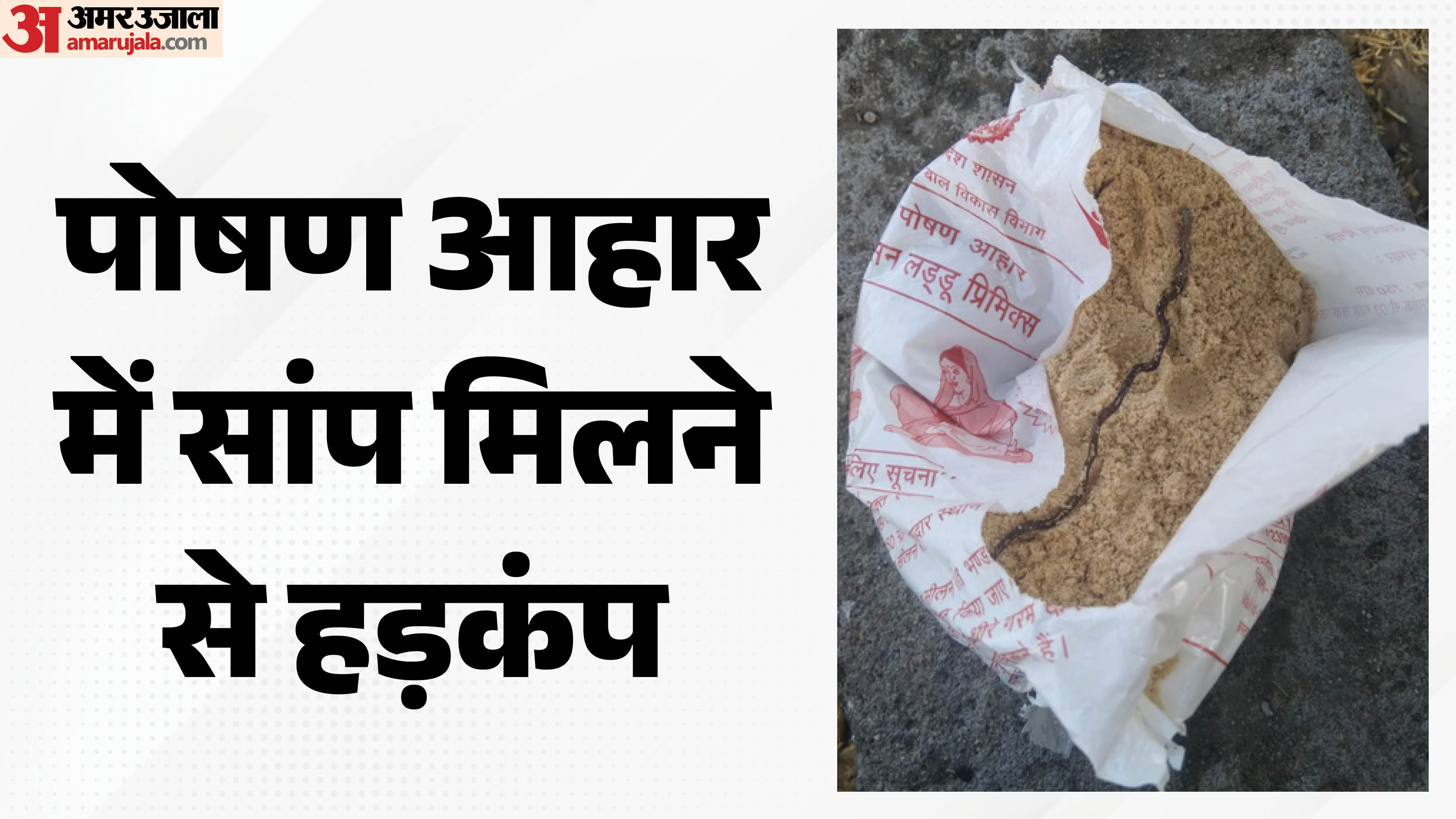 सांप मिलने से हड़कंप