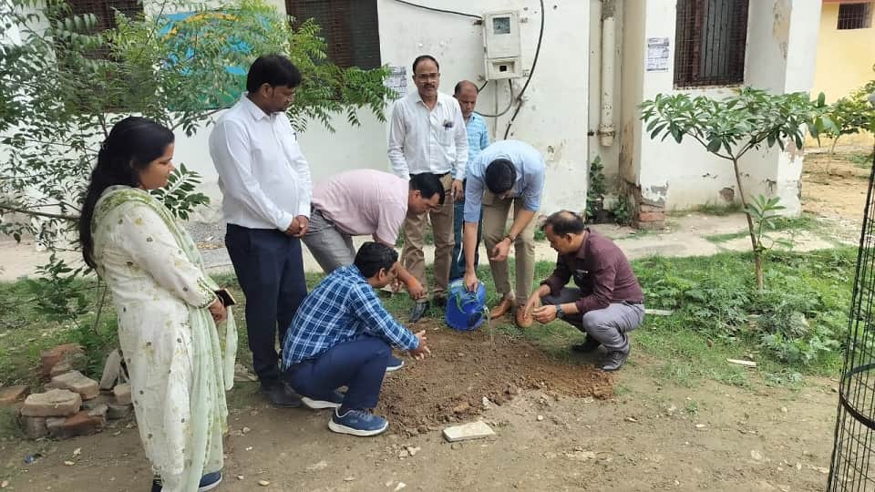 Over 24.67 Lakh Saplings Planted in Agra Division on World Environment Day Under Massive Green Drive