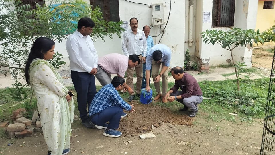Over 24.67 Lakh Saplings Planted in Agra Division on World Environment Day Under Massive Green Drive
