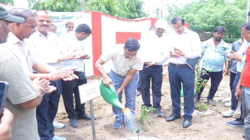 Over 24.67 Lakh Saplings Planted in Agra Division on World Environment Day Under Massive Green Drive