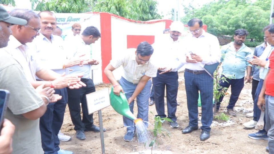 Over 24.67 Lakh Saplings Planted in Agra Division on World Environment Day Under Massive Green Drive