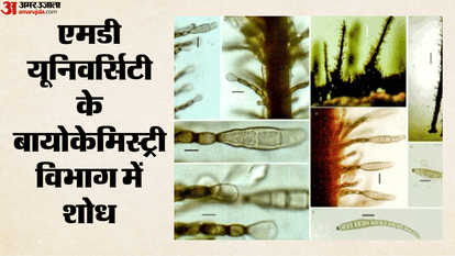 इस शोध ने एचआईवी, एड्स संक्रमित और दूसरे कमजोर रोग प्रतिरोधक क्षमता वाले मरीजों के इलाज को लेकर नई उ