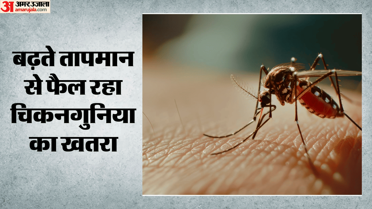 Climate Change May Expand Chikungunya Risk to Colder Regions, Scientists Warn