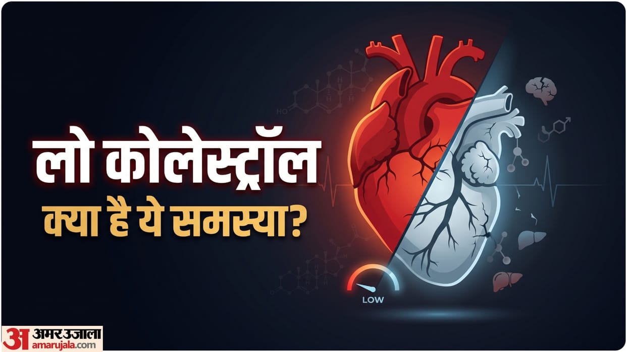 what is Hypocholesterolemia know Symptoms and Health Impacts of low level of cholesterol in blood
