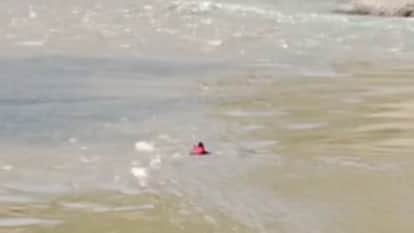 Devprayag News two tourists swept away by Ganga while bathing at Sangam and Kaudiyala
