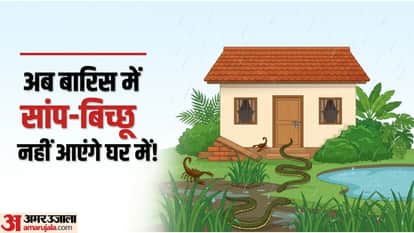How To Keep Snakes And Scorpions Away From House This Monsoon Know Simple Home Safety Tips