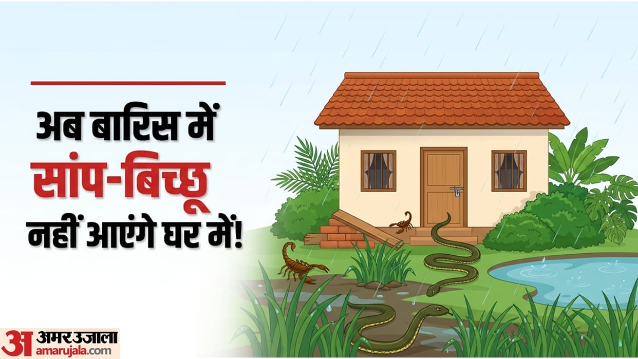 How To Keep Snakes And Scorpions Away From House This Monsoon Know Simple Home Safety Tips