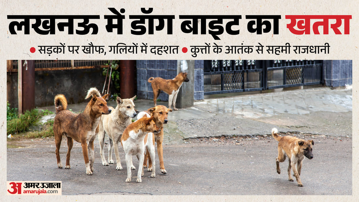 more than 200 people are falling victim to dog bites every day In Lucknow