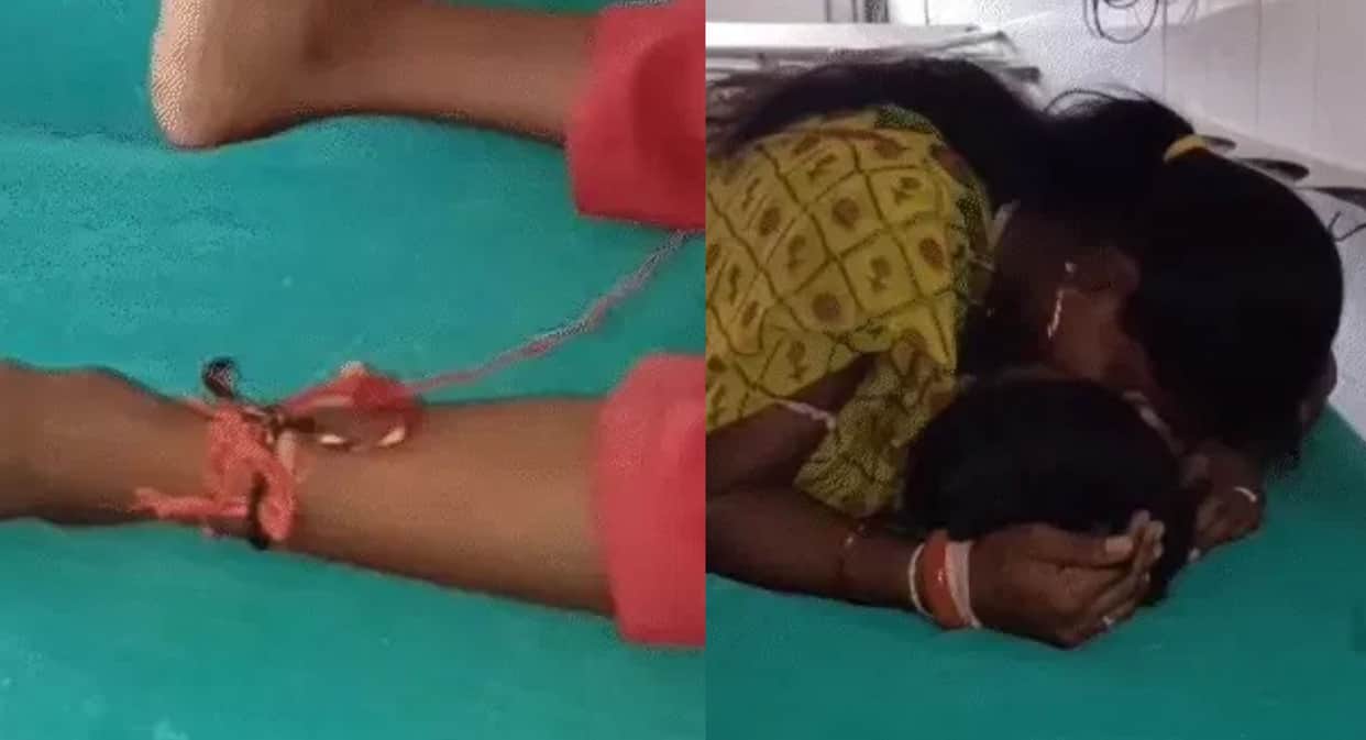 Rajasthan Tragedy six Year-Old on Summer Vacation Dies Within 90 Minutes of Snakebite