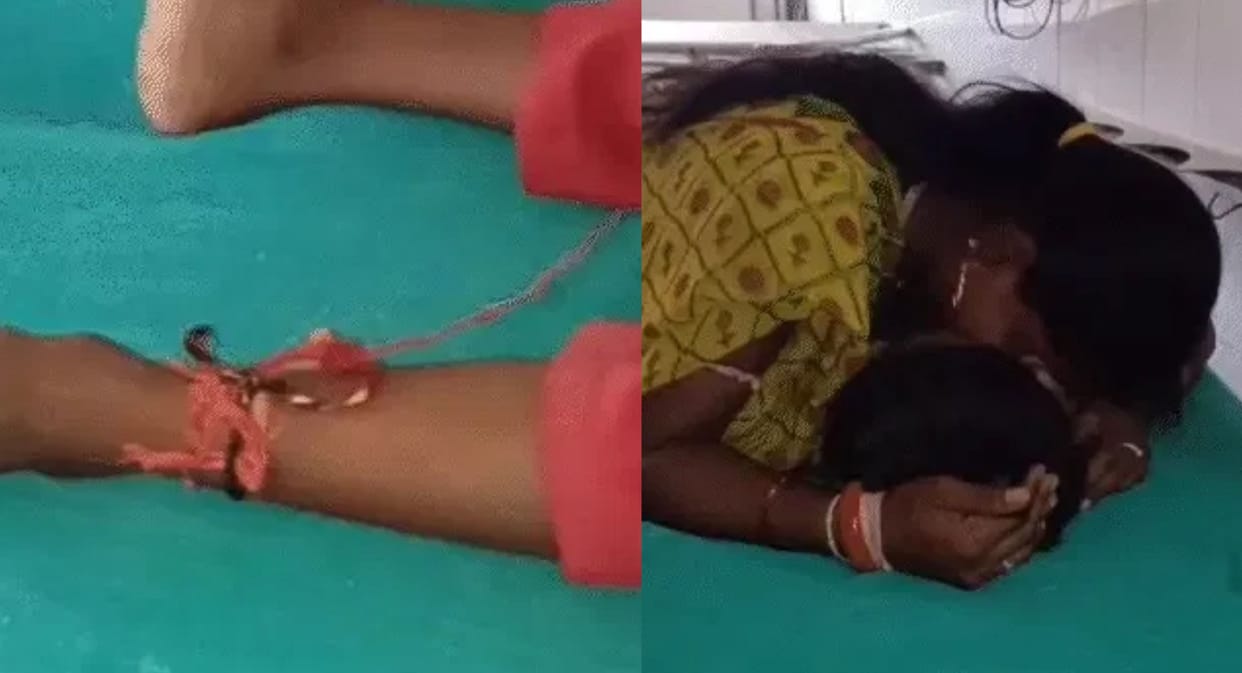 Rajasthan Tragedy six Year-Old on Summer Vacation Dies Within 90 Minutes of Snakebite