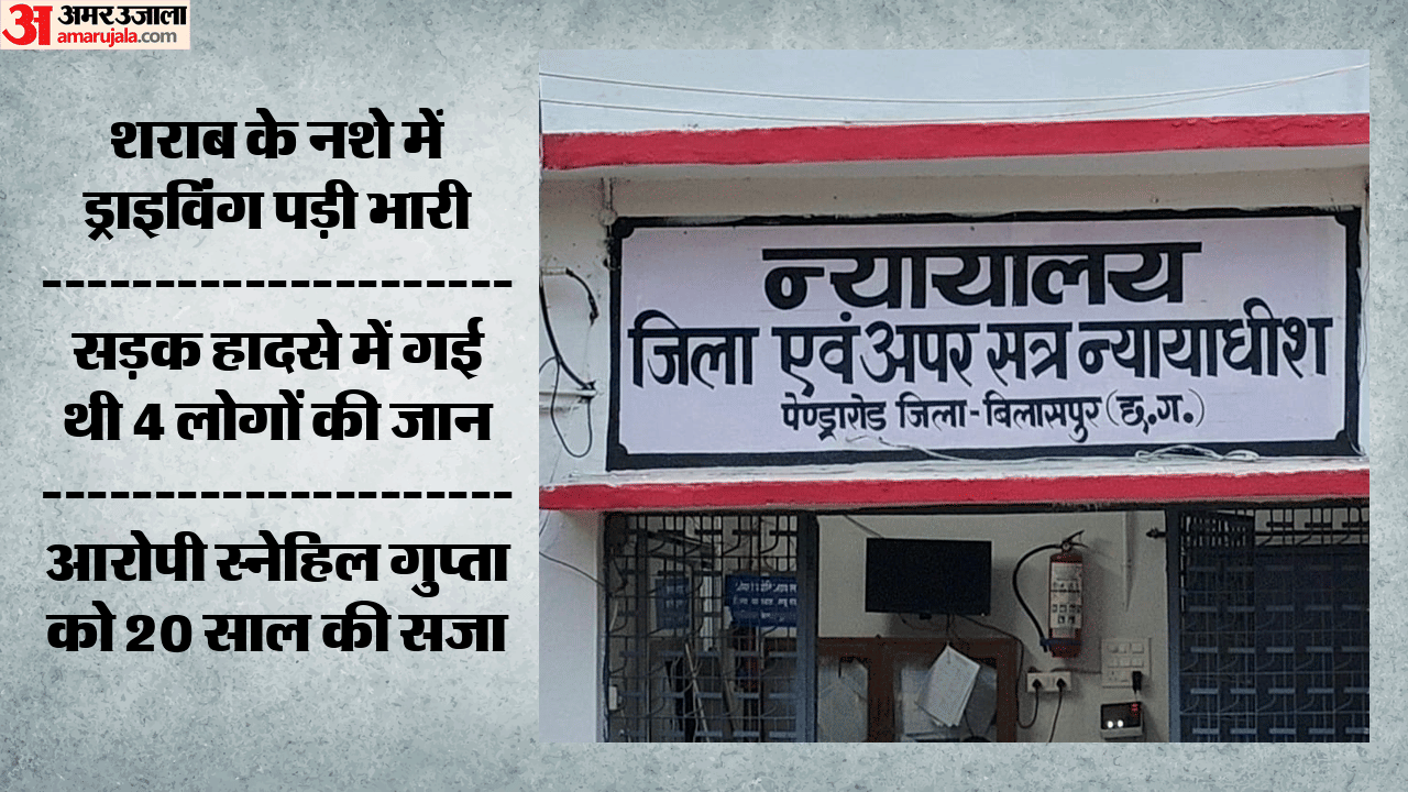 आरोपी स्नेहिल गुप्ता को 20 साल की सजा