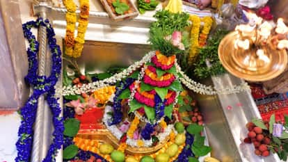 Kashi Vishwanath Temple Langra mangoes and Banarasi paan offered to Baba in Varanasi
