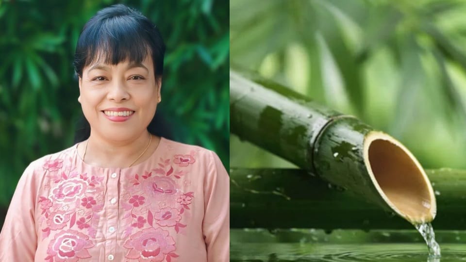 Fermented bamboo shoots could protect kidneys panjab university research sparks hope