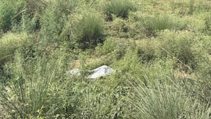 Himachal: young man dead body found in field; suspected drug overdose.